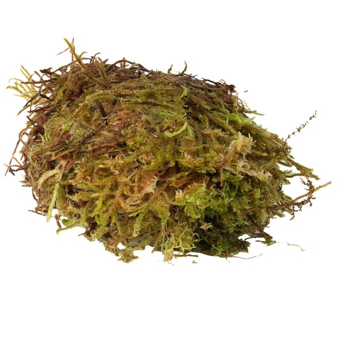 HabiStat Sphagnum Moss 250g