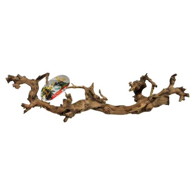 Lucky Reptile Grapevine L 50-70 cm