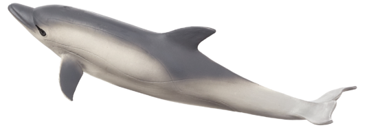 Mojo Delfín