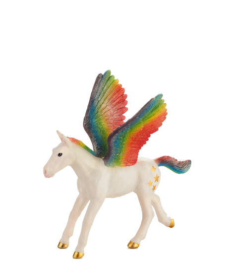 Mojo Pegas mládě duhový