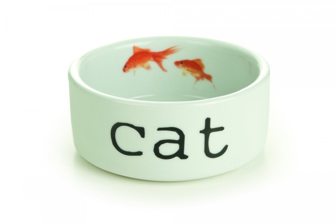 Beeztees Miska pro kočky SNAPSHOT 11,5x4cm