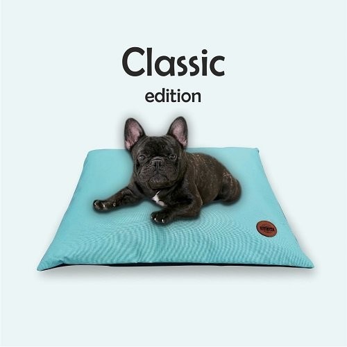 REDANT Pelech pro psy Polštář hranatý Mentolová XL