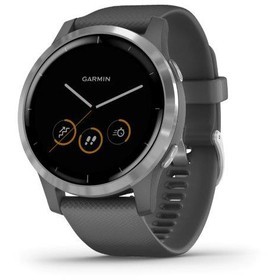 GARMIN vívoActive4 Silver/Gray Band