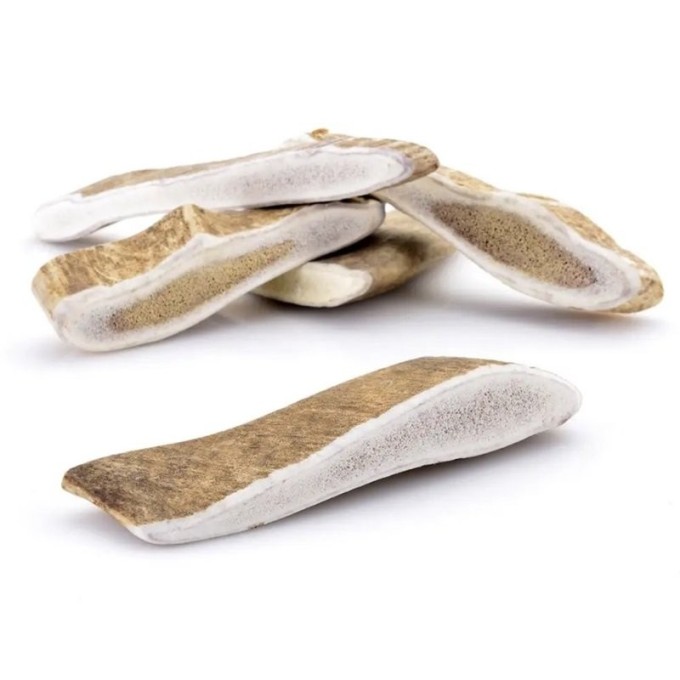 ZVERKY Odměna pro psy Dančí paroh celý XL