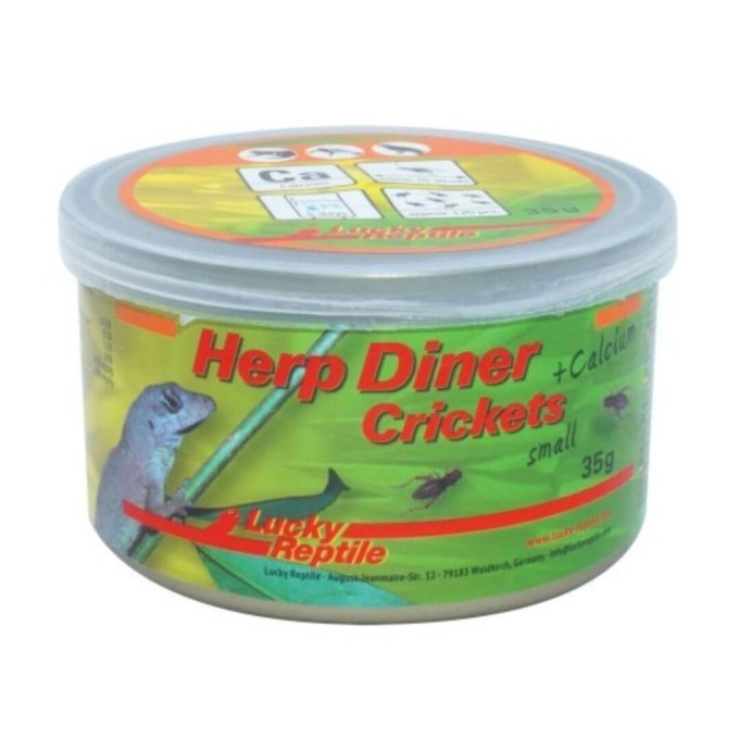 Lucky Reptile Herp Diner - cvrčci