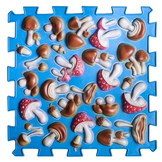 ORTEK Masážní a senzorická podložka pro děti, dospělé a psy Puzzle Mix Houby barevné modré 1 prvek
