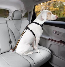 Kurgo Bezpečnostní pás pro psa do auta Direct to Seatbelt Tether oranžový