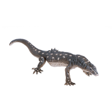 Mojo Varan obrovský