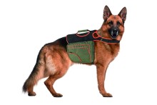 Karlie Batoh pro psy zeleno-oranžový reflexní vel. XL