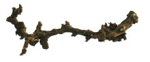 Lucky Reptile Grapevine - tmavý S 30-45 cm