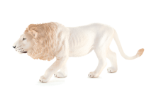 Mojo Lev bílý