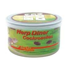 Lucky Reptile Herp Diner - švábi velcí 35g