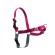 PetSafe® Postroj EasyWalk malinový L